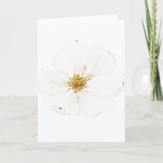 Carte Peine blanche peinte à la main (blanche)