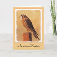 Peinture américaine Kestrel - Art original pour oi