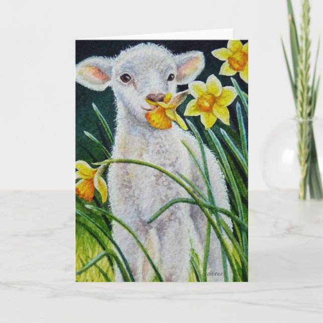 Carte Peinture aquarelle Agneau bébé et jonquilles de pr (Devant)