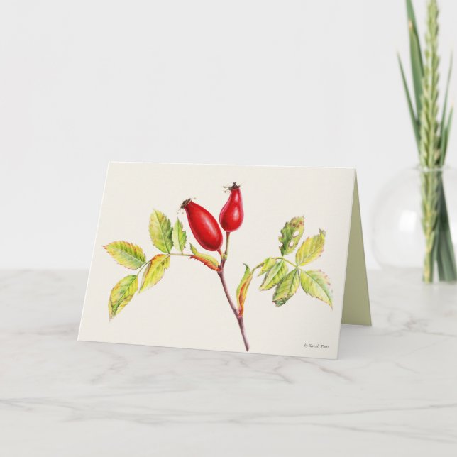 Carte Peinture aquarelle botanique de fruits de l'églant (Devant)