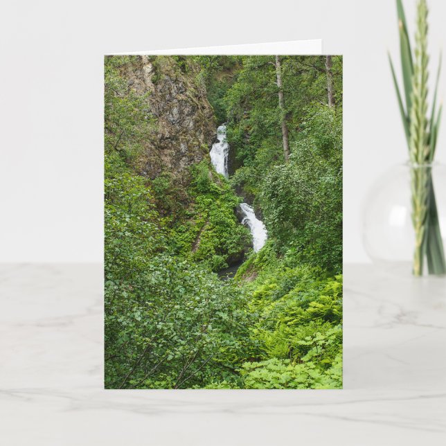 Carte Peinture de Thunderbird (Devant)