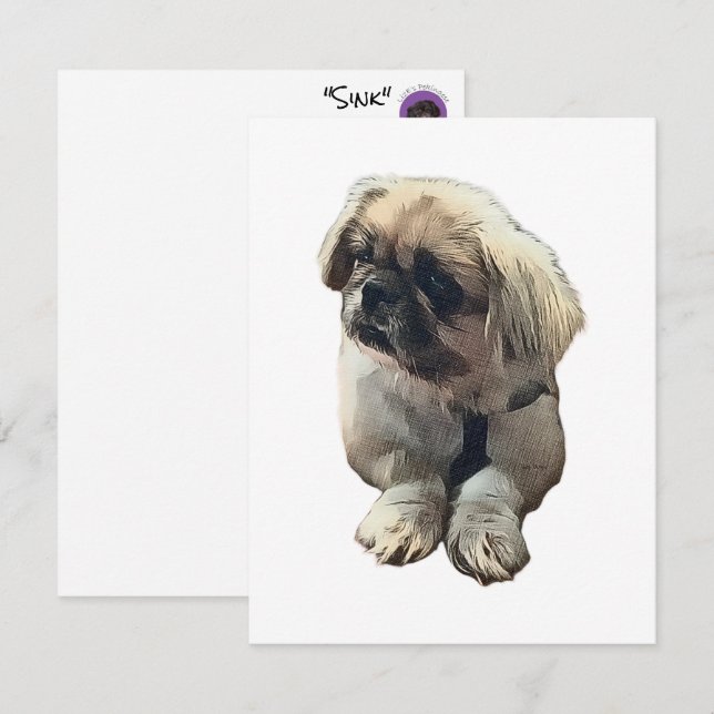 Carte Pekingese blanche avec "évier" (Devant / Derrière)