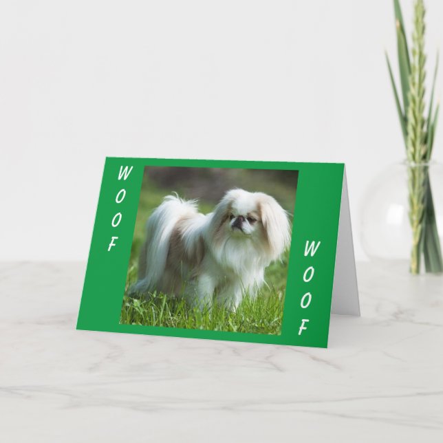 Carte Pekingese dit WOOF WOOF (heureux anniversaire) (Devant)