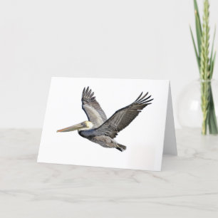 Carte Pélican clair