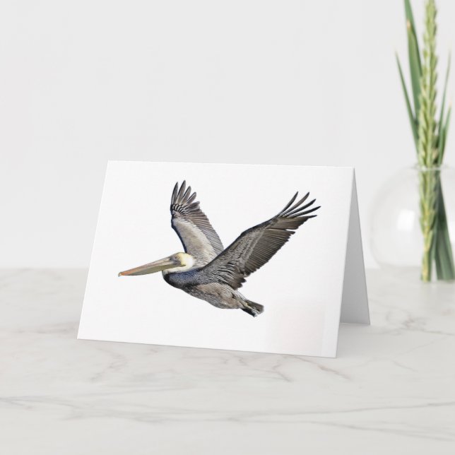 Carte Pélican clair (Devant)