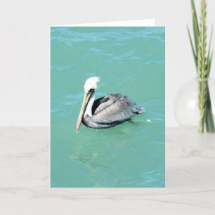 Carte Pelican. Greeting Card