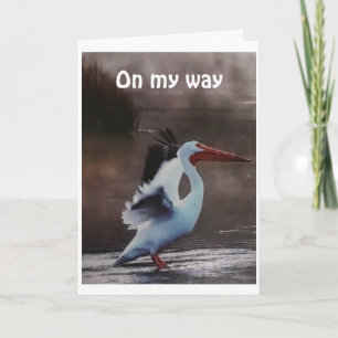 CARTE PELICAN PASSE POUR DIRE *JOLIE ANNIVERSAIRE*