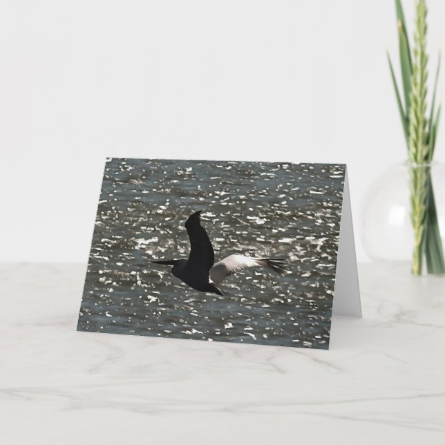 Carte Pélican volant au-dessus du lac Bafa (Devant)