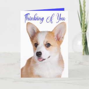 Carte Pembroke Corgi Chien Pensant À Vous