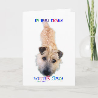 Carte Pendant des années de chien vous avez 350 ans
