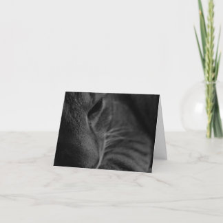 Carte "Pense À Toi..."