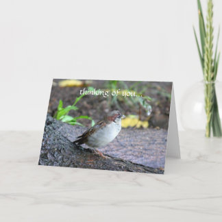 Carte pensée à vous…