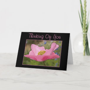 Carte Pensée pour vous Photographie de Fleur de Pavot Ro