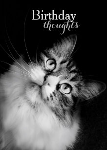 Cartes De Vœux Humour Zazzle Ch Cartes De Vœux Humour Zazzle Ch