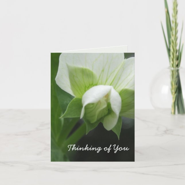 Carte Pensées pour toi entièrement personnalisable (Devant)