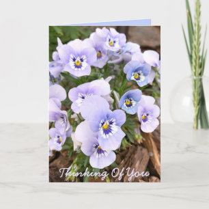 Carte Pensées pour vous Photo de pensées violettes paste