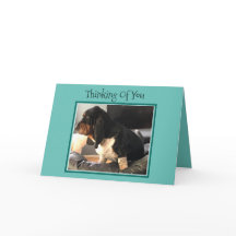 Carte "Penser À Vous" Avec Basset Cute Hound