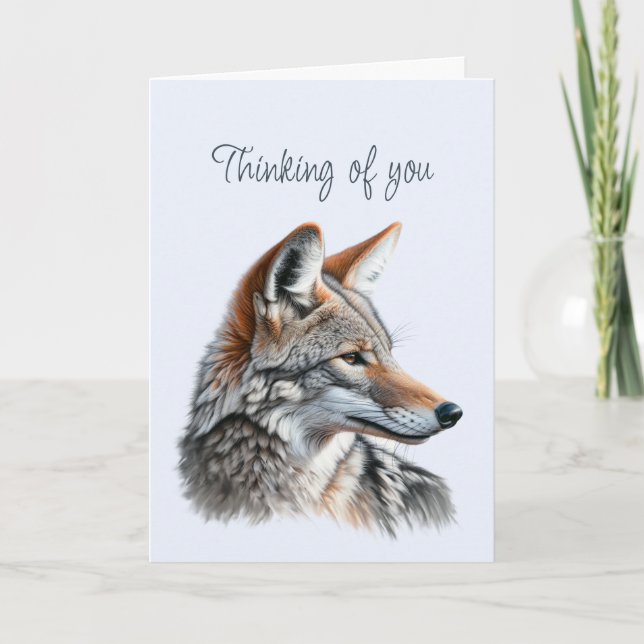 Carte Penser à vous belle Coyote Faune Animaux (Devant)