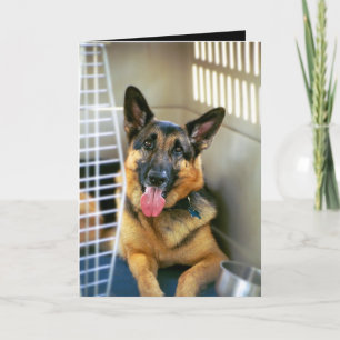 Carte Penser à vous cardent