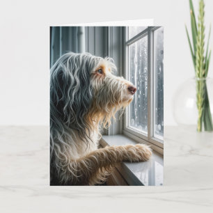 Carte Penser à vous ennuyé Collie une fenêtre pluvieuse