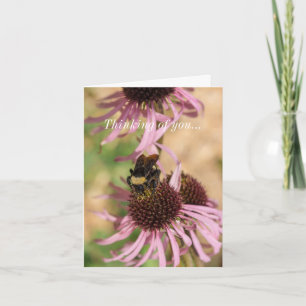 Carte Penser à vous être sur Black Eyed Susan Pano