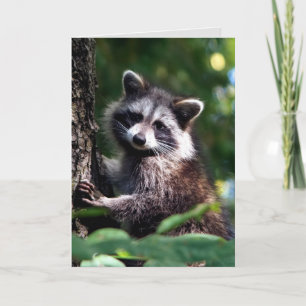 Carte Penser à vous Récupération rapide Raccoon Animal