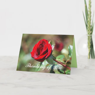 Carte Penser à vous Red Rose Blank Card