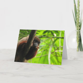 Carte Pensez à vous