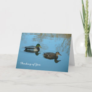Carte Pensez à vous   Canards