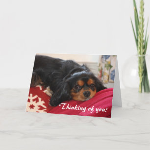 Carte Pensez à vous Cavalier roi Charles Spaniel