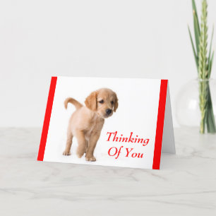 Carte Pensez À Vous Golden Retriever Puppy Dog Card