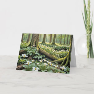 Carte Pensez à vous Trilliums dans une forêt de printemp