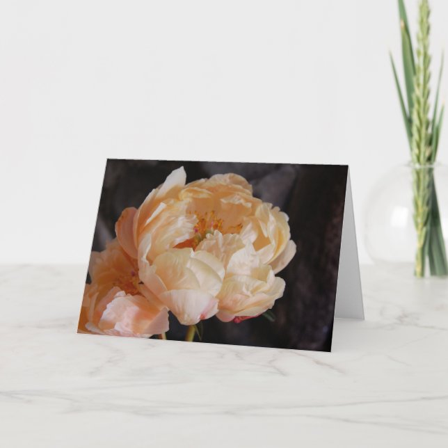 Carte Peonies 6 (Devant)