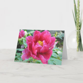 Carte Peony