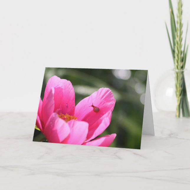 Carte Peony "Chameleon" (Devant)