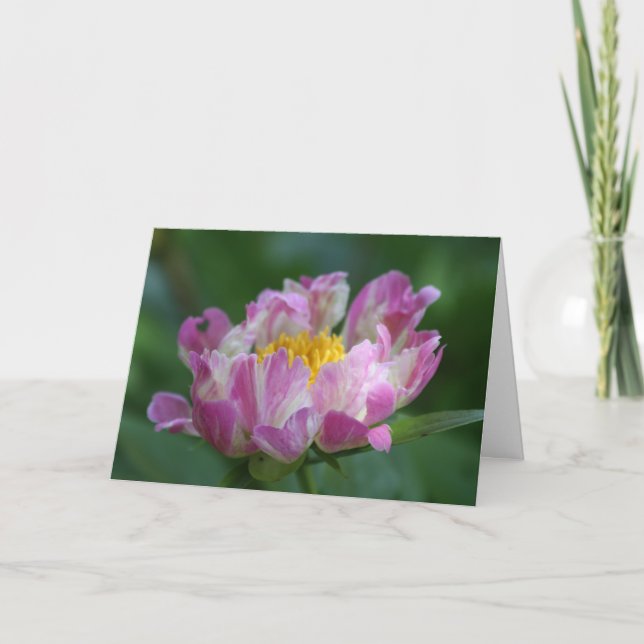 Carte Peony "Pink Spritzer" (Devant)