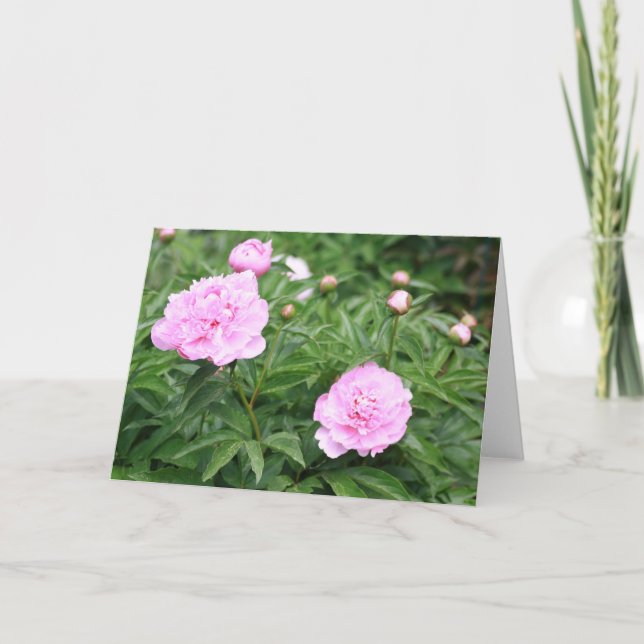Carte Peony rose (Devant)