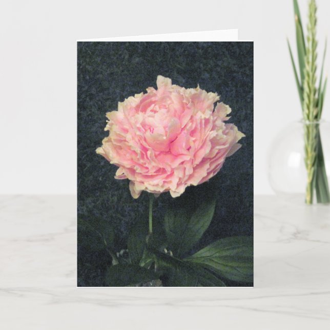 Carte Peony rose (Devant)