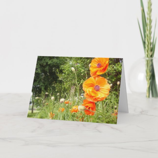 Carte Pépites de pavot/Carte de voeux d'anniversaire (Devant)