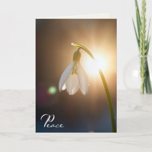 Carte Perce-neige de sympathie avec des gouttes de rosée