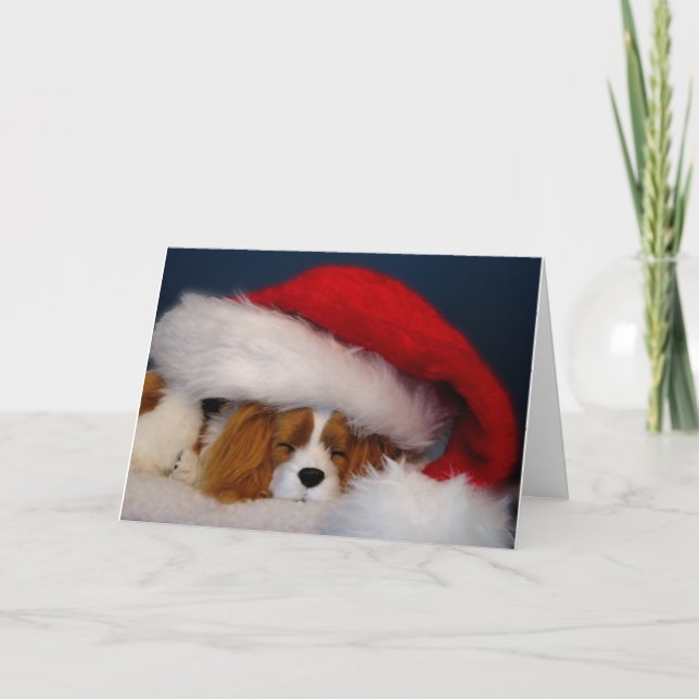 Carte Père Noël Cavalier King Charles Blenheim (Devant)