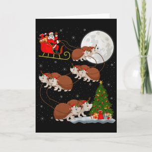 Carte Père Noël Hérisson Traîneau Volant Drôle Magique N