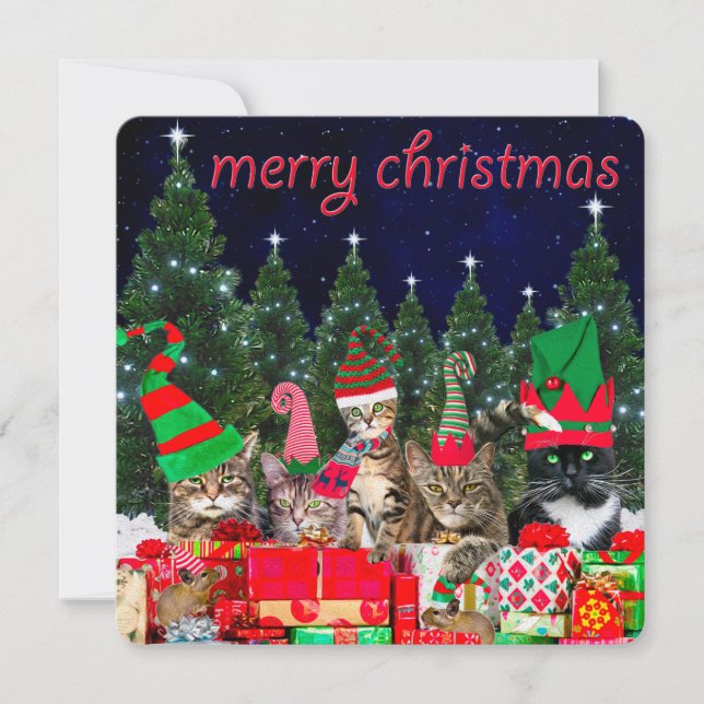 Carte "Père Noël Little Mousers" - Cat Christmas Card (Devant)