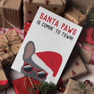 Carte Père Noël Paws Chien à tête blanche