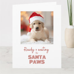 Carte Père Noël Paws prêt et en attente - Noël Amoureux 