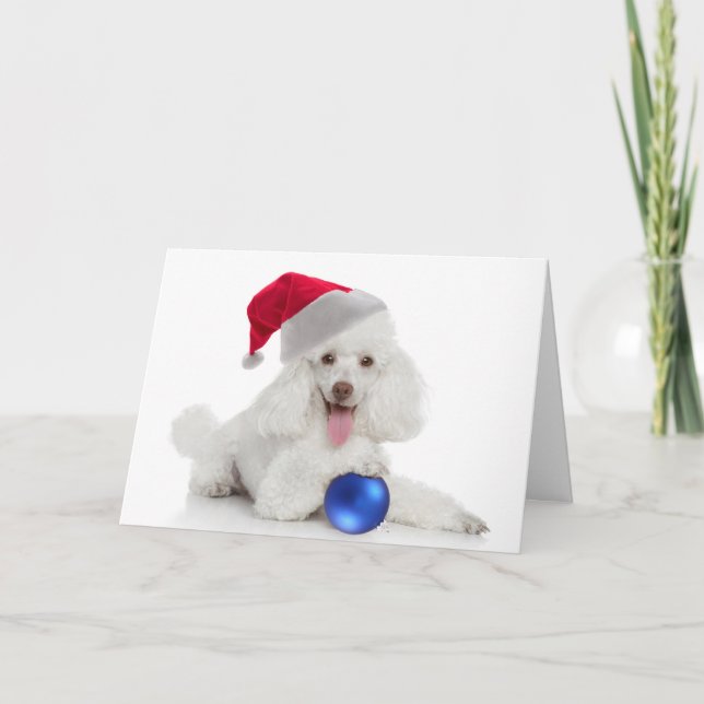 Carte père Noël Poodle (Devant)