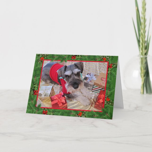 Carte Père Noël Schnauzer avec Holly Christmas Card (Devant)