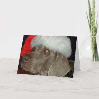 Carte Père Noël Weimaraner