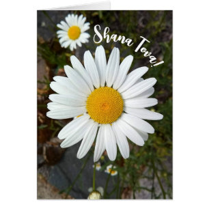 Carte Perky White Daisy Rosh Hashanah
