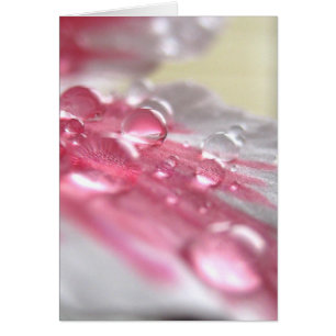 Carte Perles